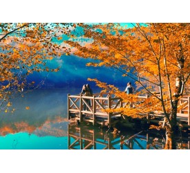 ABANT-YEDİGÖLLER- AĞVA –ŞİLE –POLENEZKÖY-HOBBIT EVLERİ 2 GÜN - 1 GECE