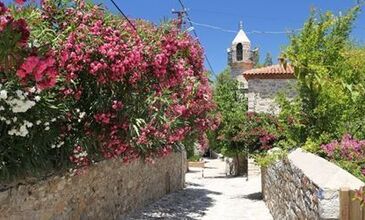 MARMARİS - DATÇA BADEM ÇİÇEĞİ FESTİVALİ 