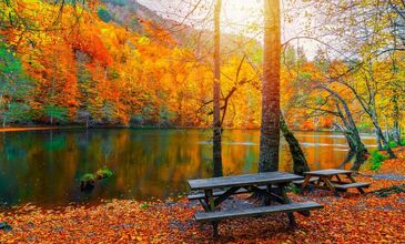 YEDİGÖLLER - BOLU - ABANT - AĞVA - ŞİLE -POLENEZKÖY