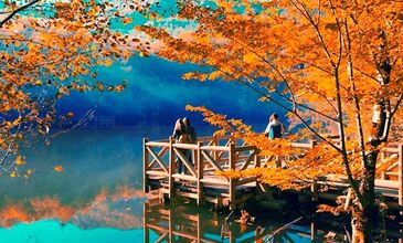 ABANT - YEDİ GÖLLER - AĞVA – ŞİLE – POLENEZKÖY - HOBBIT EVLERİ 2 GÜN - 1 GECE